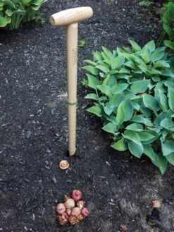 Wicked Big Dibber 10 Wicked Big Dibber -Comfortable Garden 8612667 0028