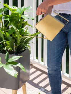 Precision Brass Watering Can 9 Precision Brass Watering Can -Comfortable Garden 8612691 0011