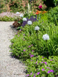 Dandelion Solar Stake -Comfortable Garden 8612713 4472