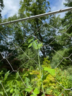 Chicken Wire Pea Trellis -Comfortable Garden 8612718 7311