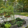 Chicken Wire Pea Trellis -Comfortable Garden 8612718 7313 chicken wire pea trellis