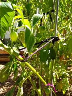 Farmyarn® Multipurpose Garden Tie, 2 Pack -Comfortable Garden 8612948 02v