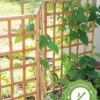 Bamboo Zig-Zag Trellis 24" X 36" -Comfortable Garden 8613151 15