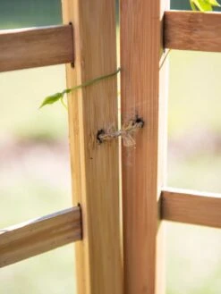 Bamboo Zig-Zag Trellis 24" X 36" -Comfortable Garden 8613151 6483