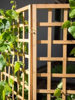 Bamboo Zig-Zag Trellis 24" X 36" -Comfortable Garden 8613151 6491