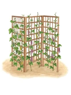 Bamboo Zig-Zag Trellis 24" X 36" -Comfortable Garden 8613151 art flat