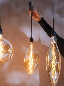 Retro Essence™ Vintage LED Light Bulbs 13 Retro Essence™ Vintage LED Light Bulbs -Comfortable Garden 8613229 7066