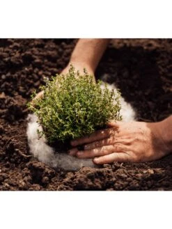 Hortiwool ®, 5 Pad Pack -Comfortable Garden 8613263 06v 1