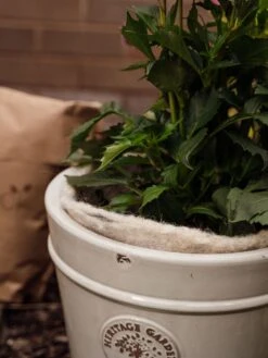 Hortiwool ®, 5 Pad Pack -Comfortable Garden 8613263 17v