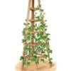 Cedar Obelisk, 8' 2 Cedar Obelisk, 8' -Comfortable Garden 8613322 art flat wooden obelisk