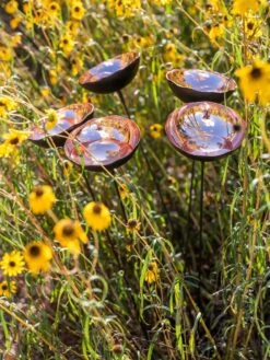 Comfortable Garden -Comfortable Garden 8613342 7913