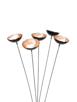 Copper Poppy Sways, Set Of 5 -Comfortable Garden 8613342 9215