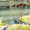 Red Poppy Sways, Set Of 5 -Comfortable Garden 8613343 2 red poppy sways set of 5