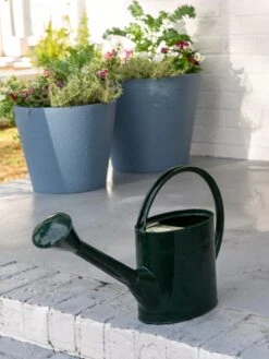 Long Reach Watering Can, Large -Comfortable Garden 8613346 0142 long reach watering can large