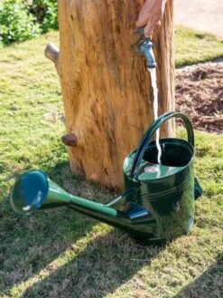Long Reach Watering Can, Large -Comfortable Garden 8613346 0147