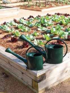 Long Reach Watering Can, Large -Comfortable Garden 8613346 0148