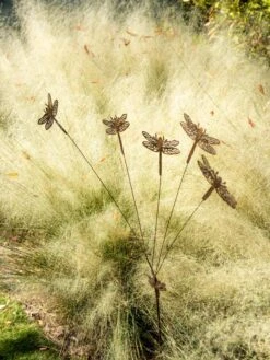 Flutterer Garden Stake -Comfortable Garden 8613372 0162