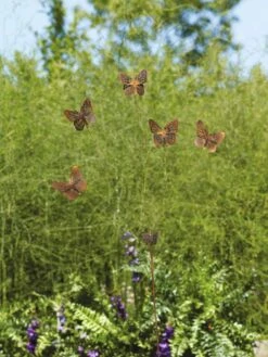 Flutterer Garden Stake -Comfortable Garden 8613372 01V tif