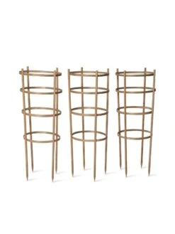 Bamboo Tomato Cages, Set Of 3 17 Bamboo Tomato Cages, Set Of 3 -Comfortable Garden 8613426 4679 bamboo tomato cages 3