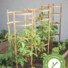 Bamboo Tomato Cages, Set Of 3 -Comfortable Garden 8613426 7