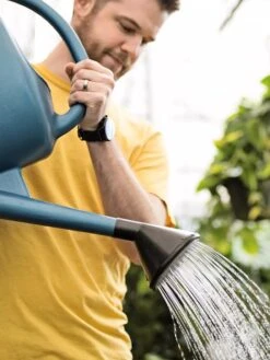 French Blue Watering Can -Comfortable Garden ChrisAhrensSquare 0118 tif