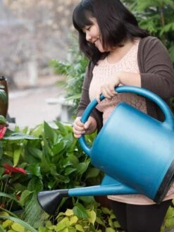French Blue Watering Can -Comfortable Garden EmilyHoangSquare 0151 tif