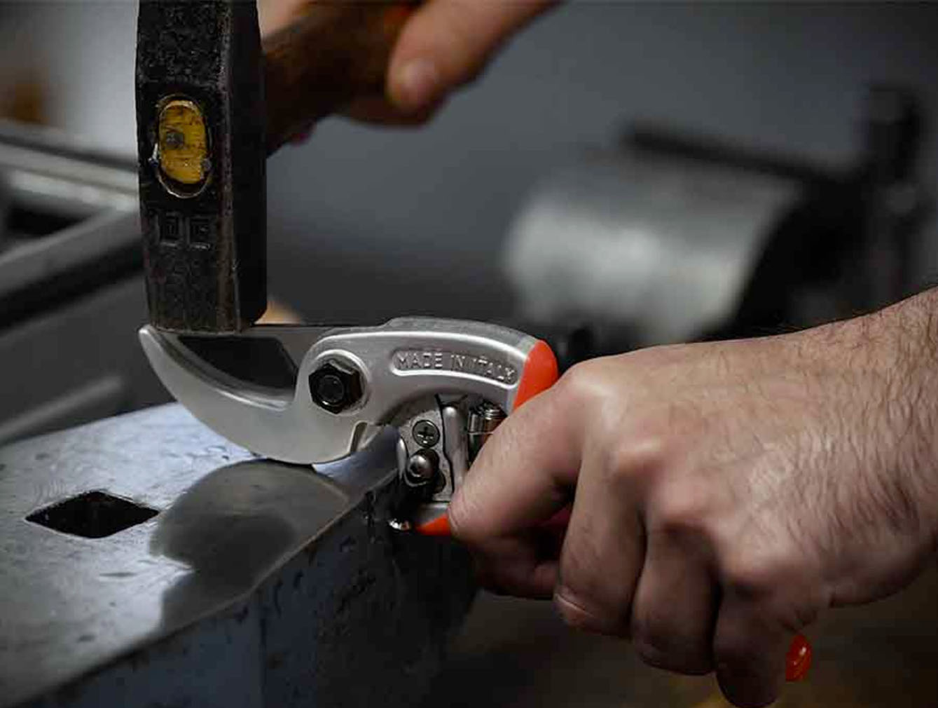 Comfortable Garden -Comfortable Garden G8A5DW@CZWT3LU212SC