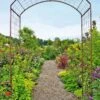 Jardin Rose Arch 2 Jardin Rose Arch -Comfortable Garden GS38690 02 rose trellis tif
