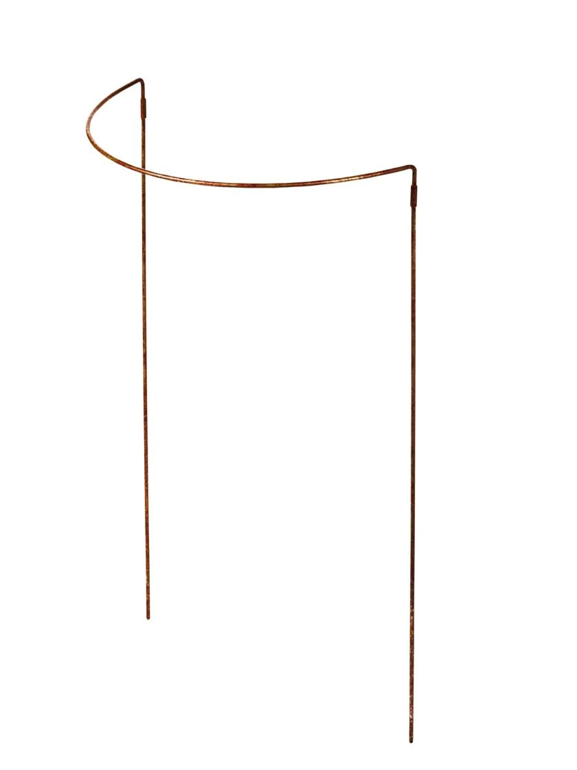 Jardin Half-Round Plant Supports, Set Of 2 4 Jardin Half-Round Plant Supports, Set Of 2 - Image 2