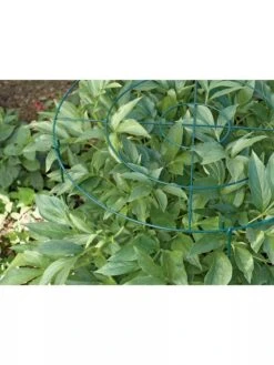 Grow Through Supports, Set Of 3 9 Grow Through Supports, Set Of 3 -Comfortable Garden GS40172 01 1