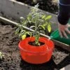 Tomato Halos, Set Of 3 -Comfortable Garden GS40357 01 tif